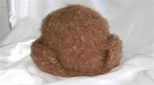 تصویب استاندارد «کلاه کرکی» خراسان شمالی در سازمان ملی استاندارد