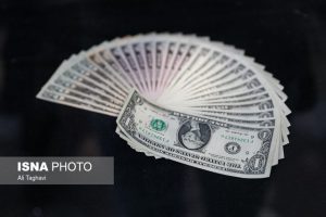 حذف ارز ۴۲۰۰ تومانی به صلاح نیست