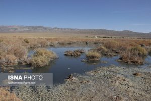 یک لکه آبی منحصر به فرد